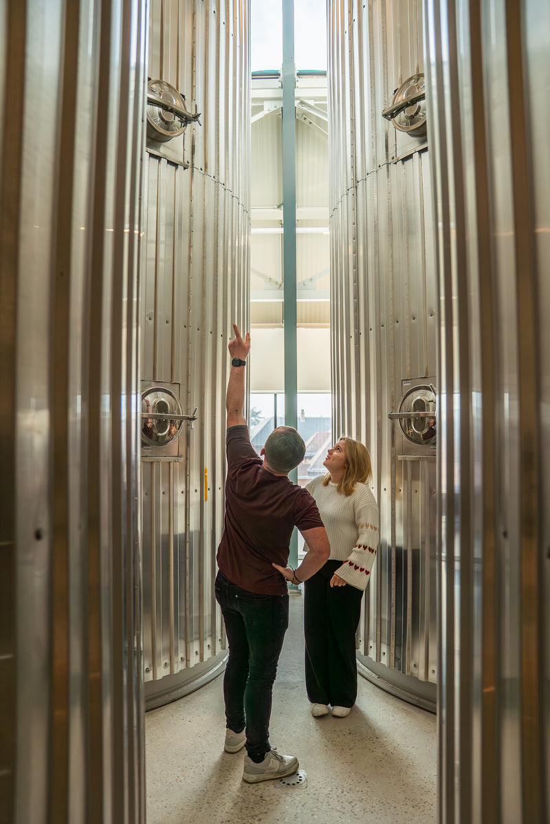 Brouwerij Roman Oudenaarde rondleiding met gids